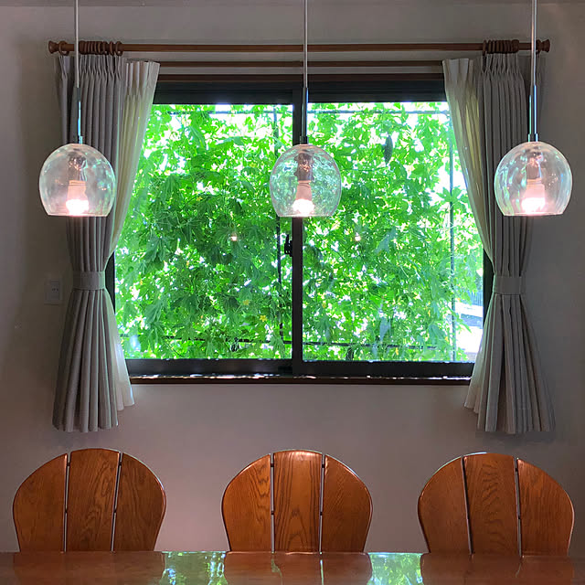 ゴーヤ,ゴーヤのグリーンカーテン,省エネ,On Walls tomoの部屋