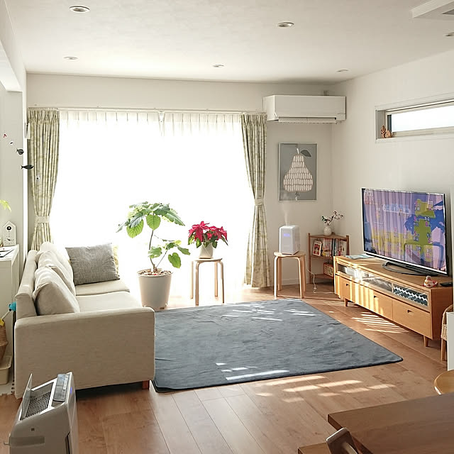 Lounge,リビングインテリア,シンプル,シンプルインテリア,シンプルナチュラル,シンプルな暮らし,観葉植物,ウンベラータ,ポインセチア,北欧雑貨,北欧が好き,こどものいる暮らし __home_m.の部屋