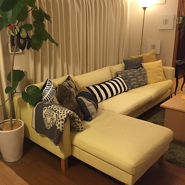 Lounge,カウニステ,ソファ,リサラーソン,北欧,IKEA,artek,照明,観葉植物 Chewbacca401の部屋