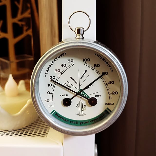 観葉植物,マグネット,サボテン,マンション,窓辺,愛用品,ダルトン,DULTON,温湿度計,アナログ,温度計,スチール,湿度計,リビングの一角,窓辺のインテリア,マンション暮らし,レールベリ,温度管理,湿度管理,サーモハイグロメーター,ディスプレイ,ディスプレイコーナー,室内グリーン,グリーン,冬,水栽培,水耕栽培,ハイドロカルチャー mi-saの部屋