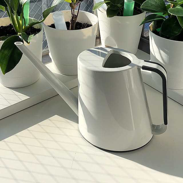 家電は白で揃えたい,インテリア家電,家具も白で揃えたい,無印良品,小物も白で揃えたい,一人暮らし,モノトーン,ホワイトインテリア,白で揃えたい,グレーインテリア,My Shelf mittyの部屋