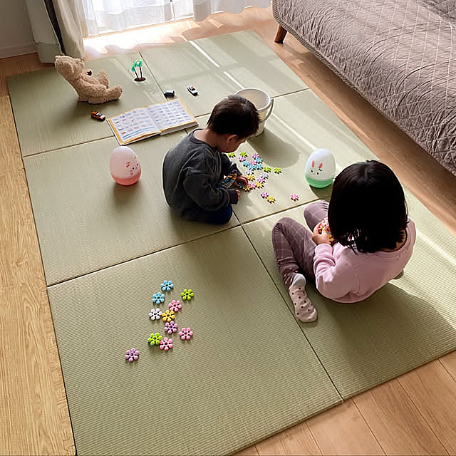 セリア,春休みの光景,irucicoシリーズ,みらい,SDGs,ヒコラー,イケヒコ,コメントお気遣いなく(⁎ᴗ͈ˬᴗ͈⁎),建売住宅,すっきり暮らしたい,こどものいる暮らし,Lounge namiの部屋