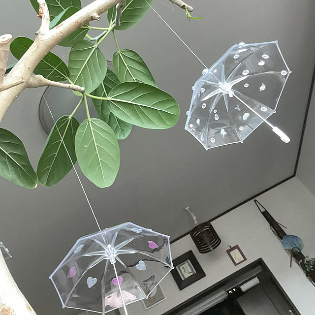 Lounge,プランター,植木鉢,花のある暮らし,RCの出会いに感謝♡,観葉植物のある暮らし,いつもいいねやコメント感謝です♩,見て頂きありがとうございます⑅︎◡̈︎*,癒し◡̈❁*,素敵な出会いに感謝◡̈*♡.°⑅,笑顔が一番,４枚投稿です♡,雨の日を楽しむ暮らし,セリアのミニチュア傘リメイク,手作り ritsukoの部屋