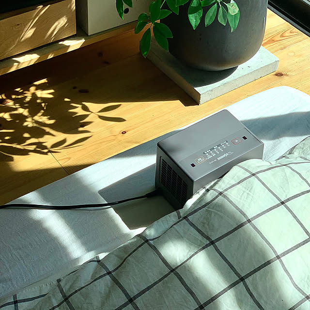 Lounge,観葉植物,家電,リノベーション,象印,ZOJIRUSHI,モニター投稿,ふとん乾燥機,きょうを、だいじに。,無印良品,TV台DIY,REGZA55インチ,ウンベラータ kazenの部屋