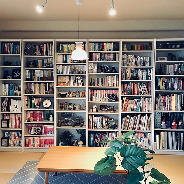 My Shelf,蝶の標本,書斎,本棚,壁一面本棚,照明,北欧ヴィンテージ,マンション,生活感のある家,北欧モダン,無印良品,縦長リビング,ホルムガード,スティグリンドベリ,リサラーソン,和室 yurinの部屋