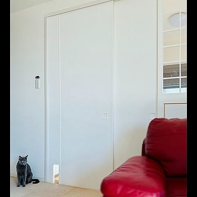 引き戸DIY,ペットドア,キャットドアDIY,襖DIY,ふすまをリメイク,ペットと暮らすインテリア,Lounge kurimarokoの部屋