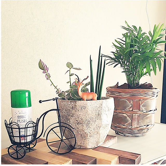 Bedroom,観葉植物,多肉植物,コバエ対策,植物のある暮らし,BotaNice,観葉植物のある暮らし,アースガーデン コバエ退治,ボタナイス,観葉植物いろいろ,いつもありがとうございます♪感謝☆,100均,100均アイテム akiwaka-roomの部屋