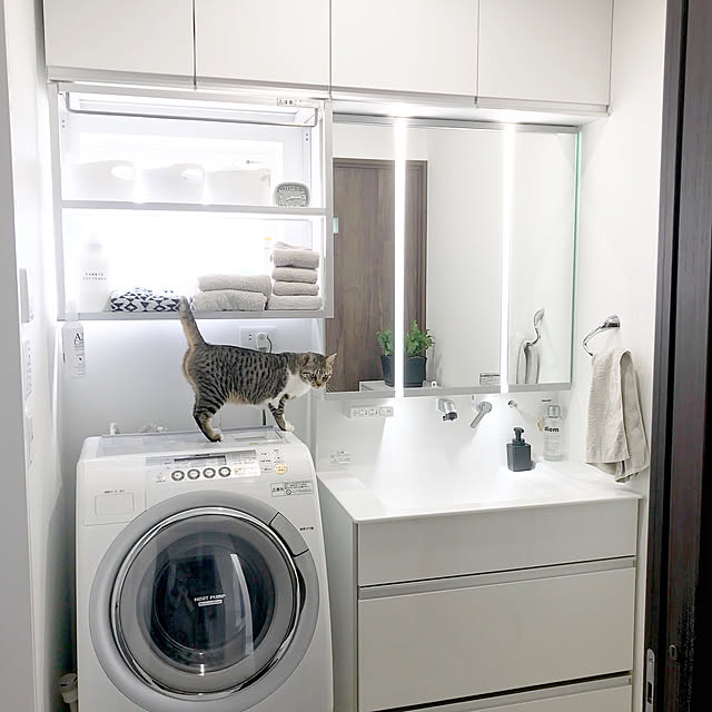 Bathroom,洗面所,ウツクシーズ,パナソニック,長期優良住宅,黒い外壁,口の字型のお家,四角い家,中庭のある家,ウォールナット,グレーインテリア,モノトーン,犬のいる暮らし,ねこのいる暮らし,グリーンのある暮らし,子供のいる暮らし,インスタ→yu_kkky,いいね&フォローありがとうございます☆ tiger7327の部屋
