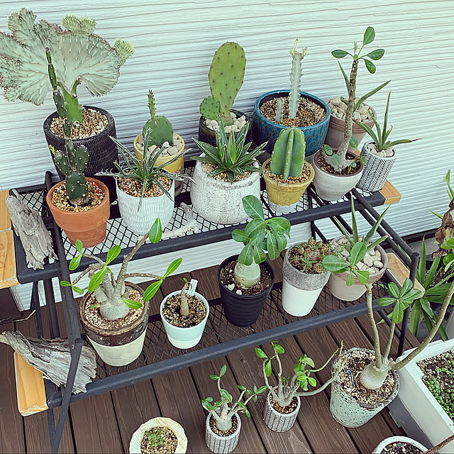 アウトドアの遊び心が光る♪おうち使いしたいDODのユニークアイテム