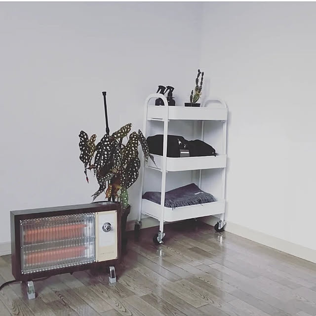 Overview,植物のある部屋,植物のある暮らし,落ち着く空間,モニター商品,RoomClipショッピング,収納,おうち見直しキャンペーン,山崎実業,ヒーター,HERMOSA レトロヒーター,キャスター付きワゴン,3段ワゴン,TOKUTOKU,HERMOSA,ハモサ レトロヒーター,レトロ好き,モニター応募投稿,賃貸,植物が好き,植物のある生活,落ち着く部屋,見せる収納 sensyuの部屋