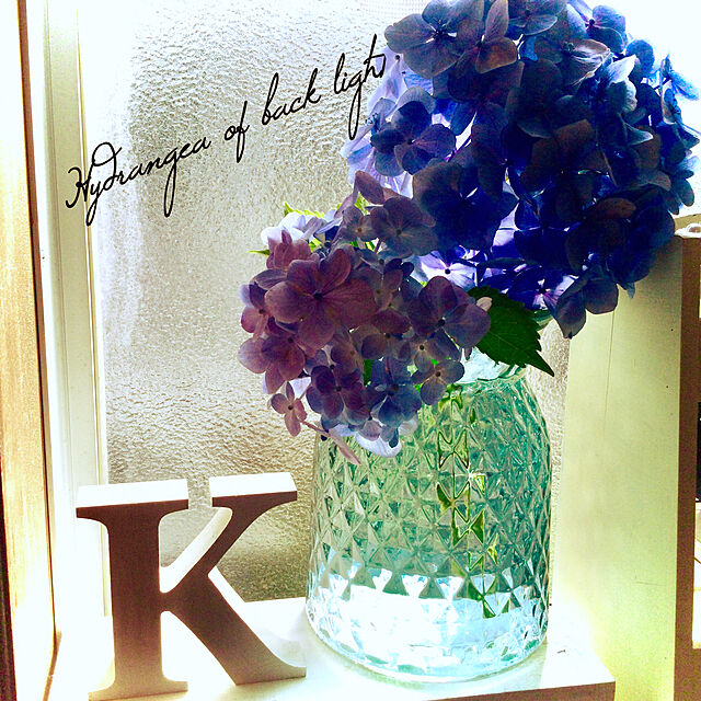 花のある生活,旬の花,逆光,シンプル,フラワーベース,紫陽花,皆さんいつもありがとう♡,RCの出会いに感謝♡,My Shelf kokorinの部屋