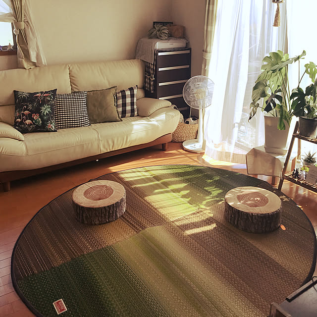 Bedroom,切り株スツール,モニター商品,い草ラグ,イケヒコ,ニトリ,観葉植物,モンステラ,快適生活館 chiekawa63の部屋