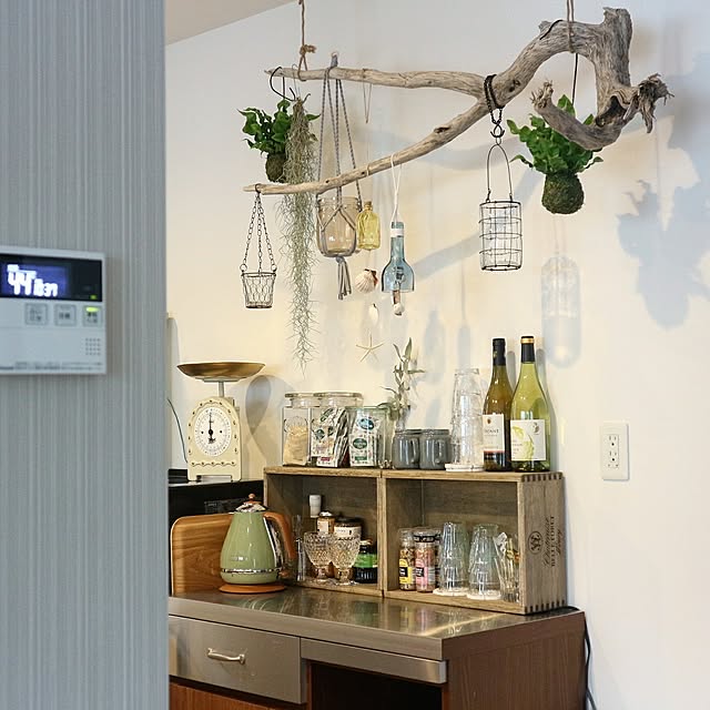 Kitchen,DIY,日替わり投稿企画!水曜日,観葉植物,スパニッシュモス,流木,流木ディスプレイ,NO GREEN NO LIFE,ハンギング,ヴィンテージ,ナチュラル,unico,ストラーダ,ワイン木箱 moniの部屋