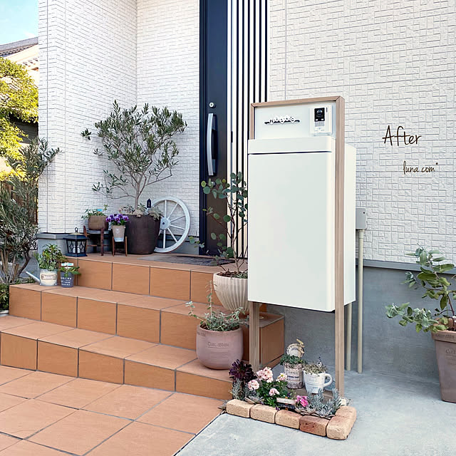 鉢植えガーデン,ナチュラルガーデン,ナチュラル,エクスショップ,LIXIL エクステリア,外構,ミニミニ花壇,閲覧ありがとうございます,いいねの押し逃げごめんなさい,いいね、フォロー本当に感謝デス☺︎,ポスト,モニター投稿,みなさまに感謝,ビフォーアフター,宅配ボックスのある暮らし,日々感謝,宅配ボックス,ホームネットワークシステム,スマート宅配ポスト,コメントお気遣いなく♡,NO GREEN NO LIFE,いつもいいねやコメありがとうございます♡,モニター当選ありがとうございます,ポストの下の花壇,多肉植物,オリーブ,多肉植物のある暮らし,プチリメイク,ホームユニット,癒し♡,Entrance,ポスト下,ポスト周り luna.comの部屋