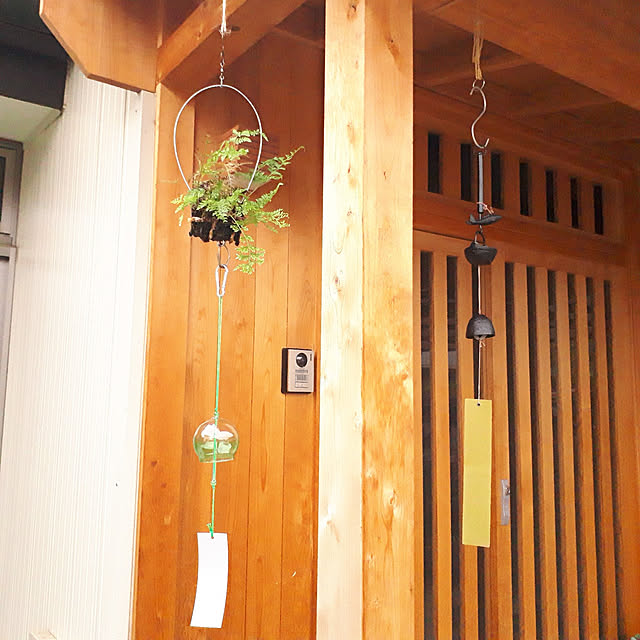 Entrance,フック,江戸風鈴,南部鉄風鈴,音色がステキ,涼しげ,風鈴,木のぬくもり,癒し,グリーン,玄関戸,無双欄間,吊りシノブ,夏,楽しい生活,居心地の良い家,シンプルな暮らし,おうち時間,心地よい暮らし,植物のある暮らし,グリーンのある暮らし,和の暮らし,イベント参加,ワッツ kazuraの部屋