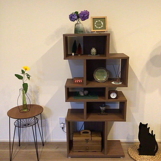 サイドテーブル,猫の傘だて,お気に入りのカラー,紫陽花,平屋,植物のある暮らし,見ていただいてありがとうございます♡,笠間焼のお皿,グリーン,飾り棚,green,オープンラック,庭の花,加藤木工,温湿度計,My Shelf houenの部屋