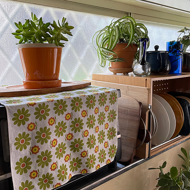 Overview,キッチンの出窓,八重ドクダミ,アジサイ,庭の植物たち,一輪挿し,トイレの棚,ダイソー雑貨,多肉植物,セリアの手ぬぐい,プチプラインテリア,イベント参加,複数枚投稿,かまわぬのカレンダー nobikoの部屋