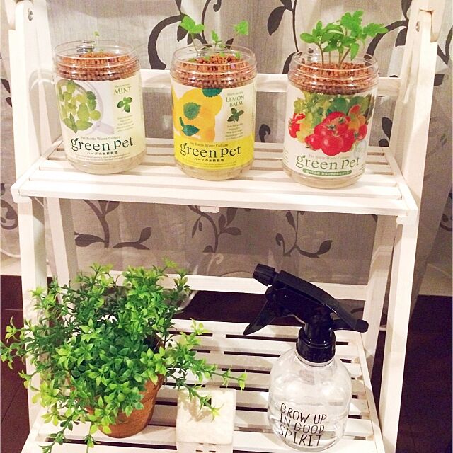My Shelf,ニトリ,トマト,ミント,水耕栽培,レモンバーム,野菜を育てる hiroの部屋