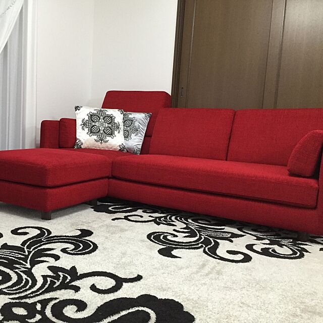 Overview,ラグ,クッション,赤いソファー mayuroseの部屋