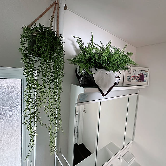Bathroom,脱衣所インテリア,フェイクグリーン,ニトリ hanahana1444の部屋