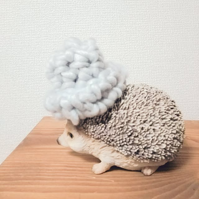My Shelf,動物,賃貸でも楽しく♪,ビッグロービング 0c.c0の部屋