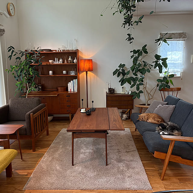 My Shelf,観葉植物のある暮らし,北欧雑貨,北欧インテリア,北欧家具,北欧ヴィンテージ,北欧モダン,クリエイト礼文,ロッキングチェア,雑木の庭,暮らしのひとコマ Hisashiの部屋