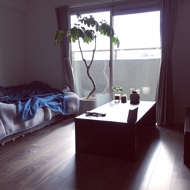 Bedroom,グレー,ニトリのカーテン,フランフラン,しまむら,グリーンのある暮らし,初公開部屋,観葉植物のある暮らし,グレー好き,パパの部屋,シンプル,シンプルモダンインテリア,すっきり暮らしたい,整理整頓したい,IKEA,無印良品 nitaandの部屋