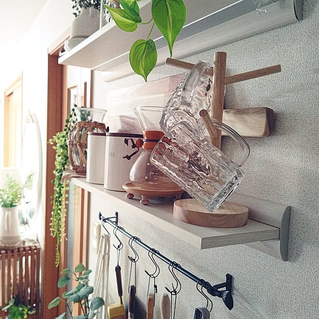Kitchen,プチプラインテリア,Daiso,一人暮らし,観葉植物,PAL CLOSET,seria,3COINS,ナチュラル,IKEA,decoration,ひとり暮らし,雑貨,ニュートラル,飾り棚,ビアグラス megunyの部屋