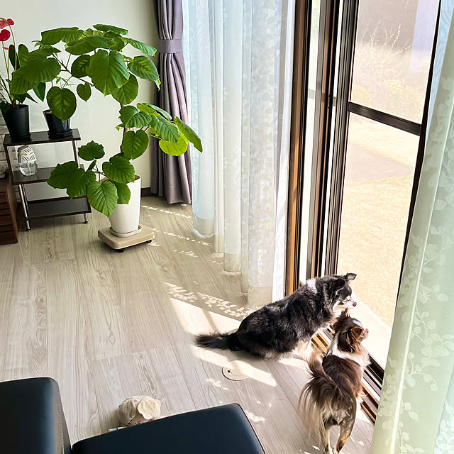 Lounge,リフォーム・リノベーション,冷暖房効果アップ,プラマードＵ,複層ガラス,二重サッシ,省エネ,夏 Hannahの部屋
