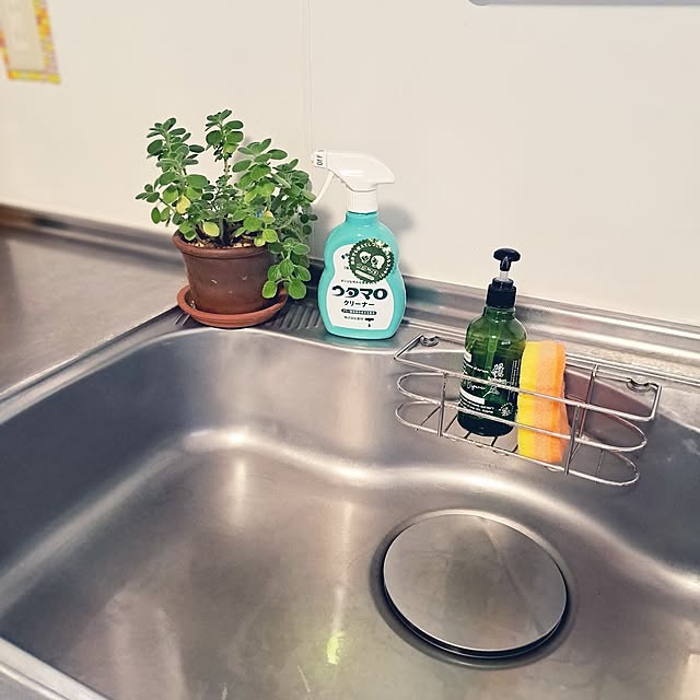 Kitchen,日常に感謝❤,ねこのいる暮らし,中古一戸建て,ねこのいる日常,閲覧、いいね有難うございます♡,キッチン掃除,うたまろクリーナー,キッチン掃除道具,キッチン掃除を楽に♡ kiyohima229の部屋