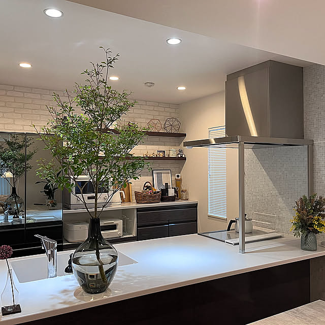 Kitchen,R6.06.30,フラワーべース,タカラスタンダード,観葉植物のある暮らし,スタイリッシュモダン,ドウダンツツジ izumikoの部屋