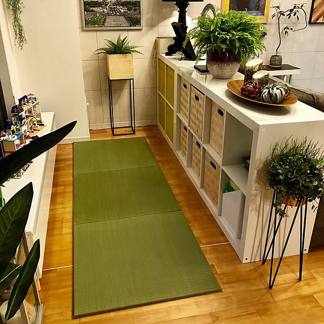 Lounge,モニター当選,プラード,ヒコラー,い草,イケヒコ,イケヒコ・コーポレーション,賃貸マンション,植物のある生活,家族で暮らす,置き畳プラード,RoomClipドラマ化 yannの部屋