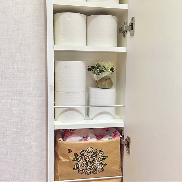 生理用品収納,紙袋収納,鏡の中,トイレットペーパー収納,トイレ,Bathroom eryngiiの部屋