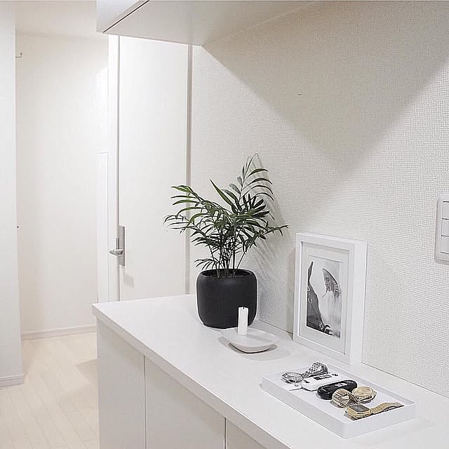 Entrance,Muji,無印良品,MUUTO,テーブルヤシ,玄関,玄関ホール Minaの部屋