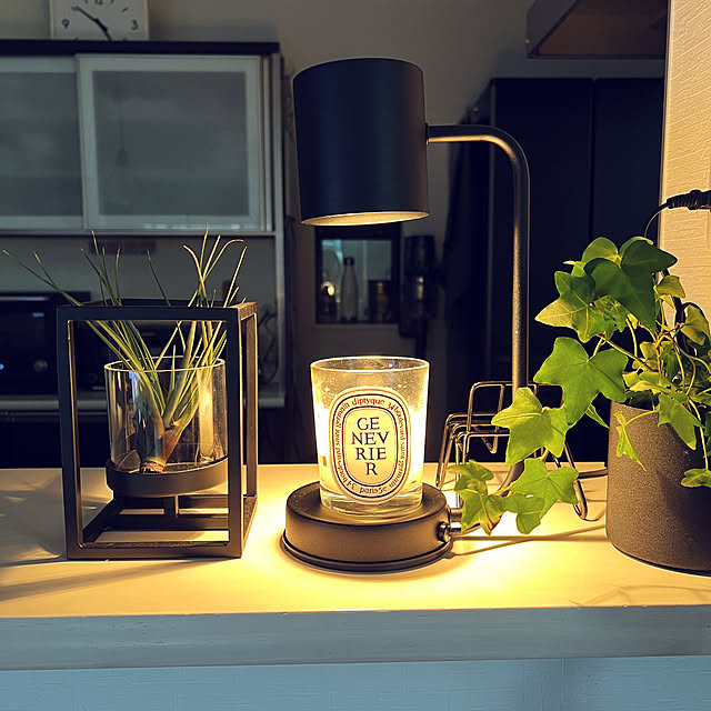 あなたがしてくれなくても,H&M HOME,観葉植物,アクタス,くつろぎ時間,On Walls miniの部屋