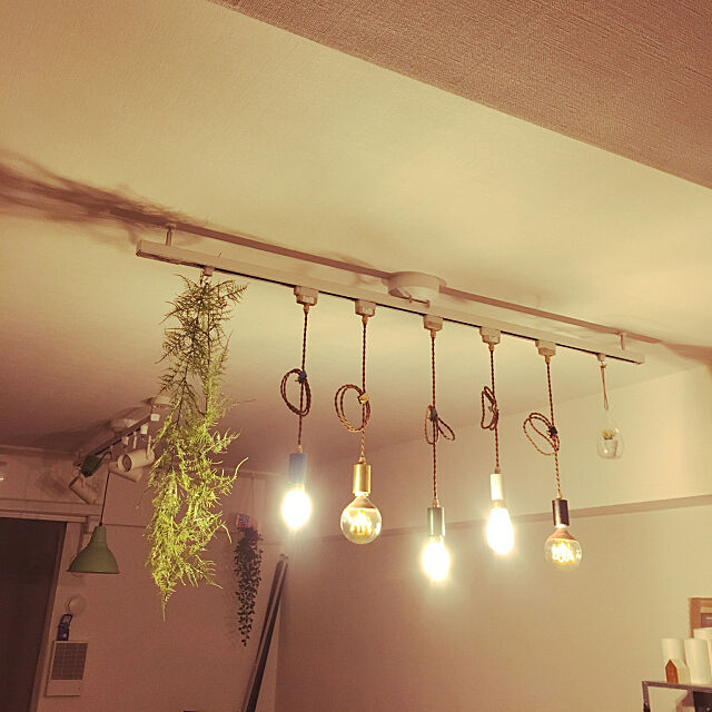 On Walls,グリーン,裸電球,IKEA,照明,ダイニング kana-muraの部屋
