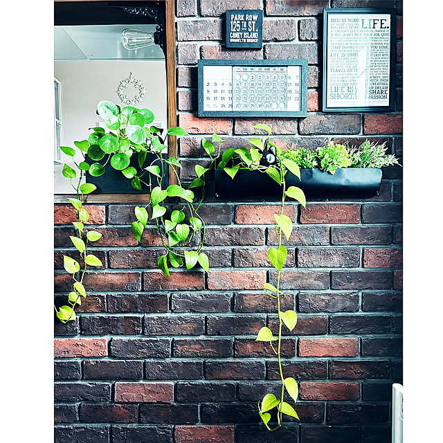 Lounge,スタンプラリー参加中,観葉植物のある暮らし,ポトスパーフェクトグリーン,ポトスライム,ポトスマーブルクイーン,ゴールデンポトス,monnちゃんのマクラメ,ペペロミオイデス,ニコアンド...,ウォールシェルフDIY,ウォールシェルフ,レンガ壁,ポトス水挿し,ポトス,2025.4.19 usagiの部屋