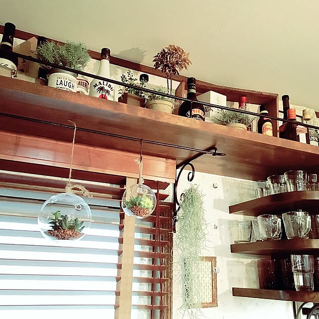Kitchen,見せる収納,酒瓶棚,酒瓶,フェイクグリーン,ニトリ,ガラスウォール,アイアン,買ってよかったモノ,観葉植物,多肉植物,植物,アンティーク調,NO GREEN NO LIFE,ニトリ フェイクグリーン,ニトリ フェイク nicoの部屋