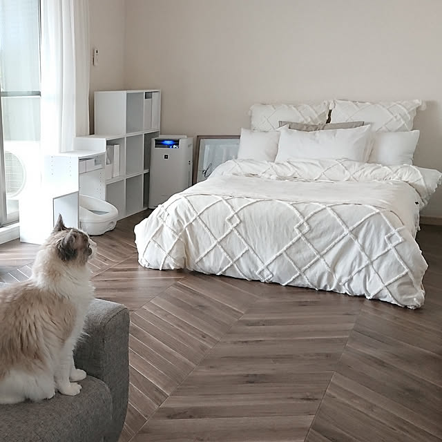 Overview,クッションフロア,ねこのいる暮らし,ホワイトインテリア,賃貸インテリア,現状回復OK,ねこ,ヘリンボーン,シンプルインテリア,グレーインテリア,ねこと暮らす,ラグドール,スミちゃん♡,ニトリ,キューブボックス,デオトイレ,プラズマクラスター,セミダブル,模様替え sumishouseの部屋