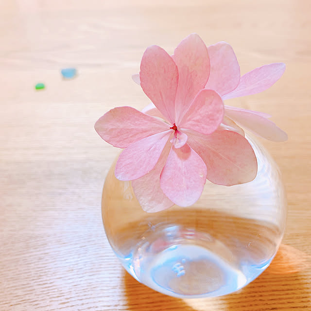 ピンクラブの会,パーポーだった紫陽花、ピンクに変身‼️,紫陽花,お花がすき,みずのうつわXS,モニター当選…しておりません。,自腹モニター、致します。,My Desk,ナチュラル舛添の会,Greenラブの会,ブルーラブの会,青と緑のシーグラスを添えて…,200いいね♬嬉しいです〜ｱﾘｶﾞﾄ,人気トピ掲載❤︎ありがとうございます♬,㊗️RoomClip mag 掲載,保存してくださり、ありがとうございます♡ Llatte-usaの部屋