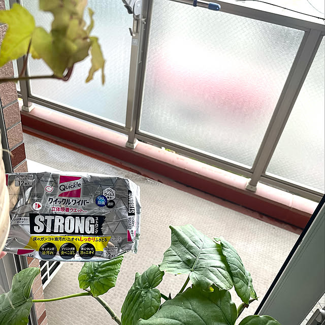 ズボラ掃除,ベランダ掃除,ベランダ,クイックルワイパー ストロング,雨の日の過ごし方,暮らしの味方,賃貸でも諦めない！,賃貸でも楽しく♪,Entrance watamoyoの部屋