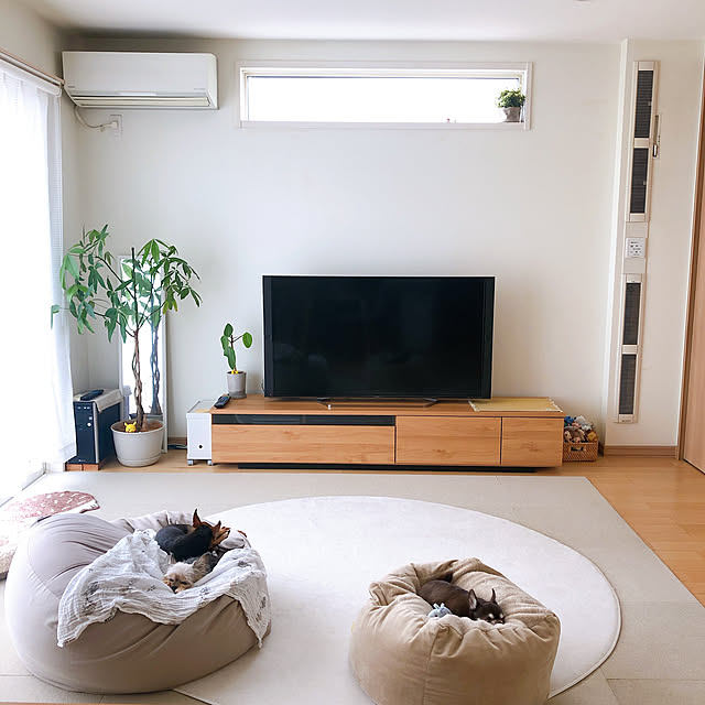 シンプル,レースカーテン,円形ラグ,ビーズクッション,テレビボード,タイルカーペット,人をダメにするソファ,床生活,わんこと暮らす,観葉植物,掃除のしやすい家,ソファなし,テレビ,緑のある暮らし,ニトリ,Lounge,無印良品 17の部屋