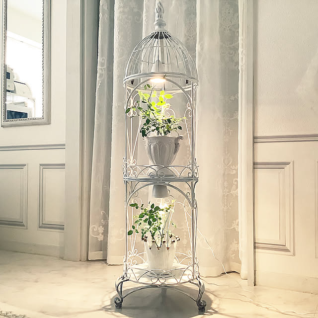 そだつライト,植物用LEDライト,ホワイトインテリア,モノトーン,シャビーシック,植物,グリーン,アンティーク,Lounge souyaの部屋