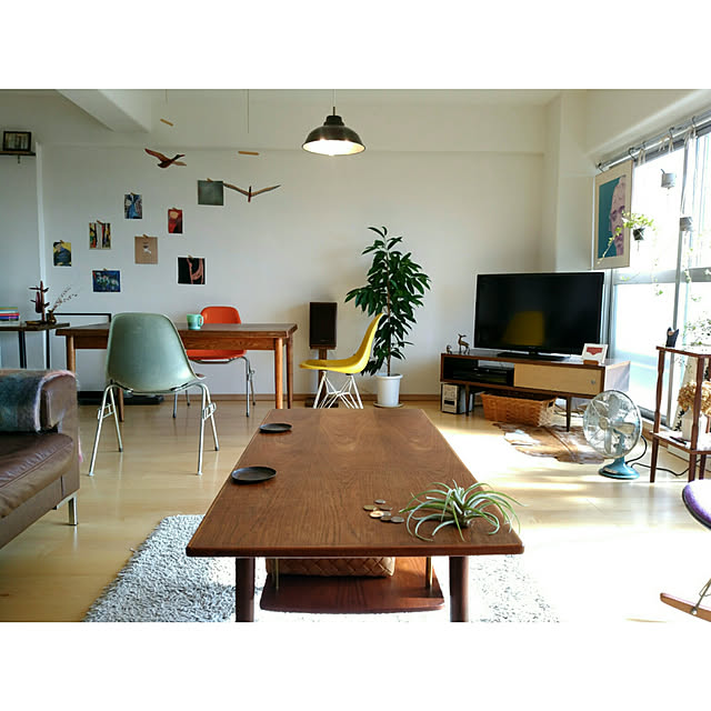 Overview,1LDK,DIY,ボタニカル,昭和レトロ,ハーマンミラー,ミッドセンチュリー,ARABIA,北欧ヴィンテージ,シャビーシック,マンション,ナチュラル,ひとり暮らし,cafe,ドライフラワー,イームズ,アンティーク,ヴィンテージ,チーク材,リサ・ラーソン,IDEE,ブラウンインテリア イベント参加 Y.の部屋