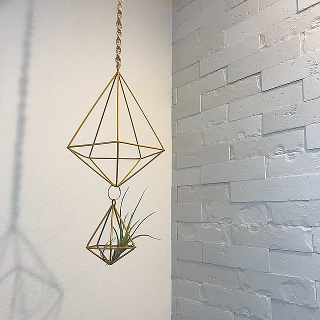 On Walls,テラリウムオーナメント,チランジア,グラナスハルト,エコカラット,エアプランツ,間口狭い,細長い家,観葉植物,LIXlL,ダイソー,100均 miyukiの部屋