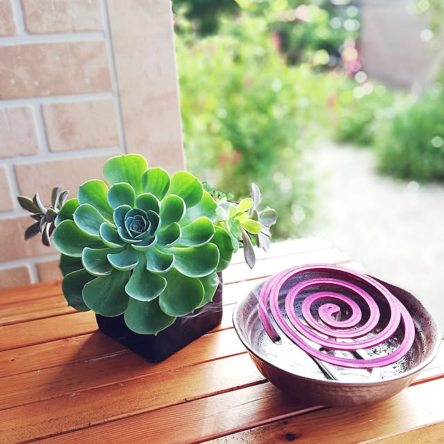 Entrance,夏,蚊取り線香の匂い好き♡,植物のある暮らし,いやしの空間,毎日の暮らしを楽しむ♪,RC の出会いに感謝!,見てくださってありがとう❁︎,8月もよろしくお願いします♪,Kigiさんガーデンチェア ayanasu.321の部屋