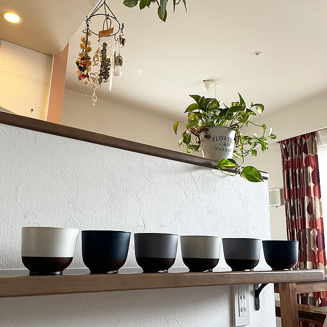 ポトス,色違い,水切り汁椀,ニトリ汁椀,サイドカウンター,器,Kitchen troisの部屋