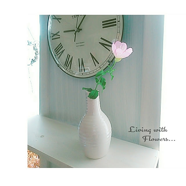 My Shelf,忙しくても楽しんで♡,感謝｡.:*ฺ✤ฺ,RCの出会いに感謝♡,癒し,いつもいいねやコメありがとうございます♡,お花のある暮らし,自分らしく自由に…,コメントお気遣いなく♡,ミラースタンドリメイク,ダイソーフラワーベース,ナチュラル,ヒルザキツキミソウ,一輪の花,一輪の花が好き,スリコの時計,ダイソー,花瓶,ダイソー花瓶 umiumiの部屋
