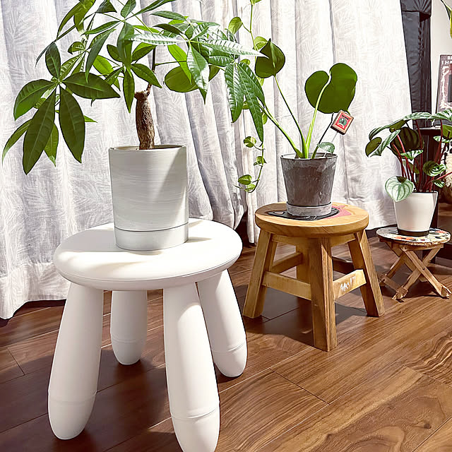 Overview,IKEAの子供用イス,IKEA,子供用椅子,パキラ置いてます,家具,モノトーン,お気に入り♡,皆さんの素敵なインテリアに憧れる❤︎ kiyoeの部屋