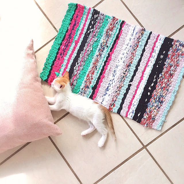 ラグ,手作り,物を大事にしたい,エコ,裂き織り,ねこと暮らす。 Genjiの部屋